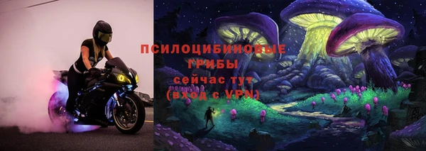 ешки Алексин