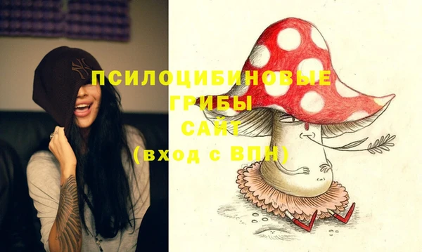герыч Алзамай