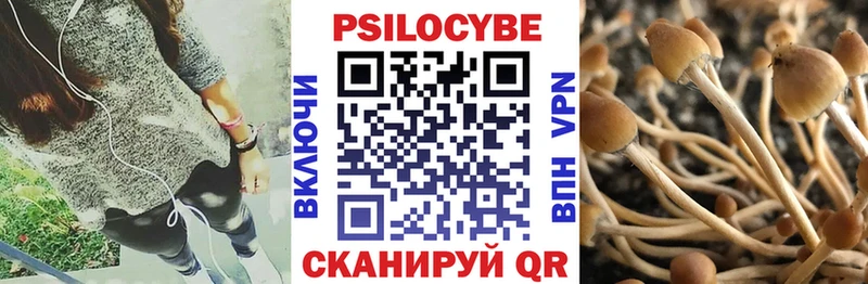 Псилоцибиновые грибы мицелий  наркота  Иннополис 